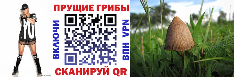 Галлюциногенные грибы мухоморы  где продают наркотики  Ленинск 